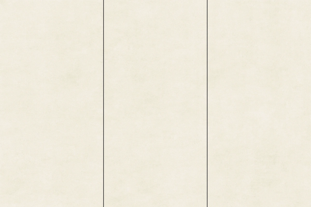 9189367Y - Amarillo ginkgo