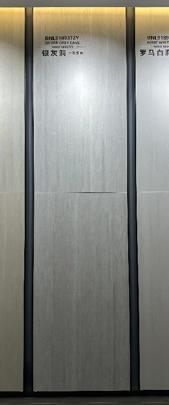 9189372Y银灰洞 (2)