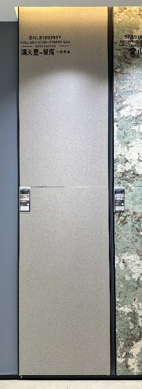 9189393Y满天星-星海 (1)