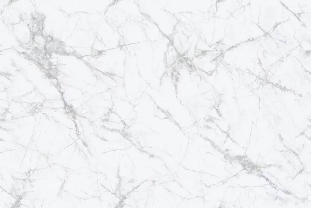 BNL9189399F NEW COLD RIVER SNOW