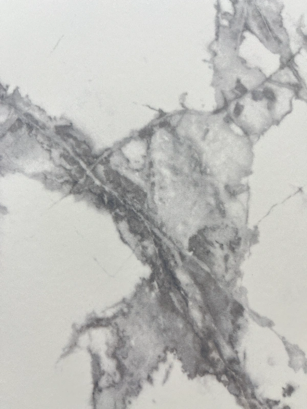 9189399F新寒江雪-A类 (1)