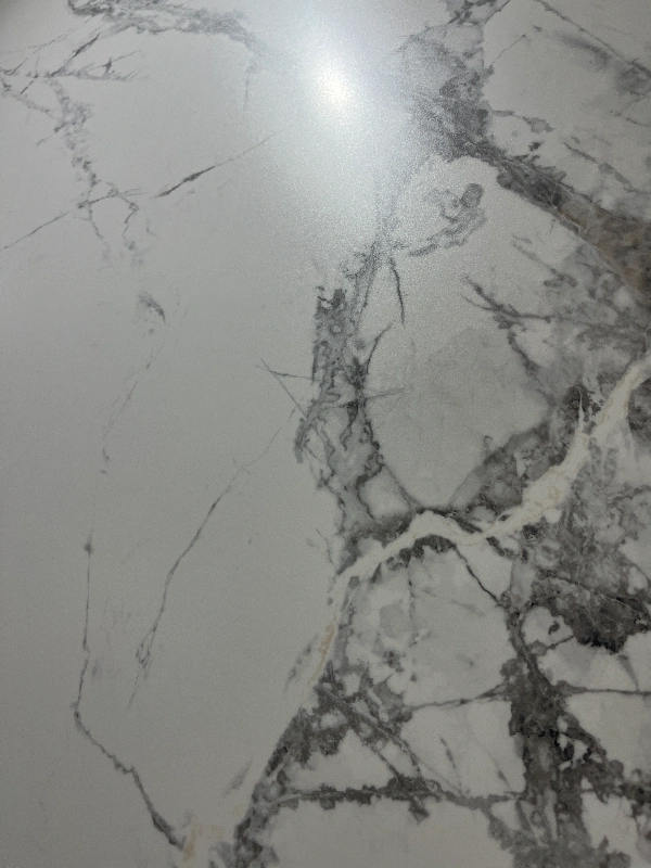 9189399MJ新寒江雪 (5)