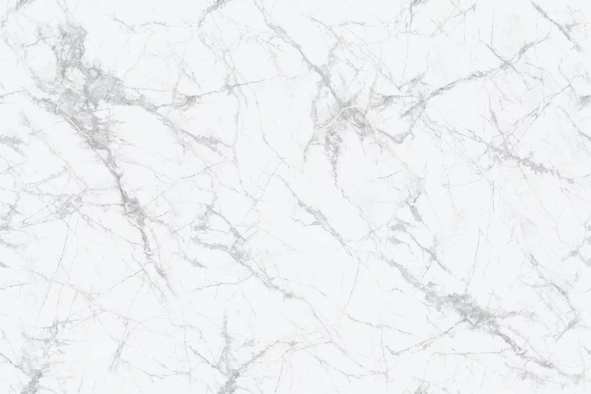 9189399MJ新寒江雪-A类 (1)