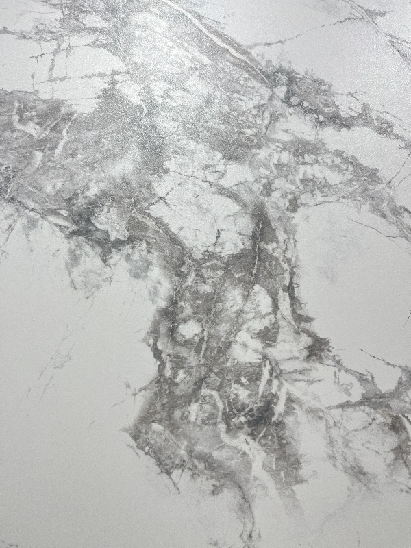 9189399y新寒江雪 (2)