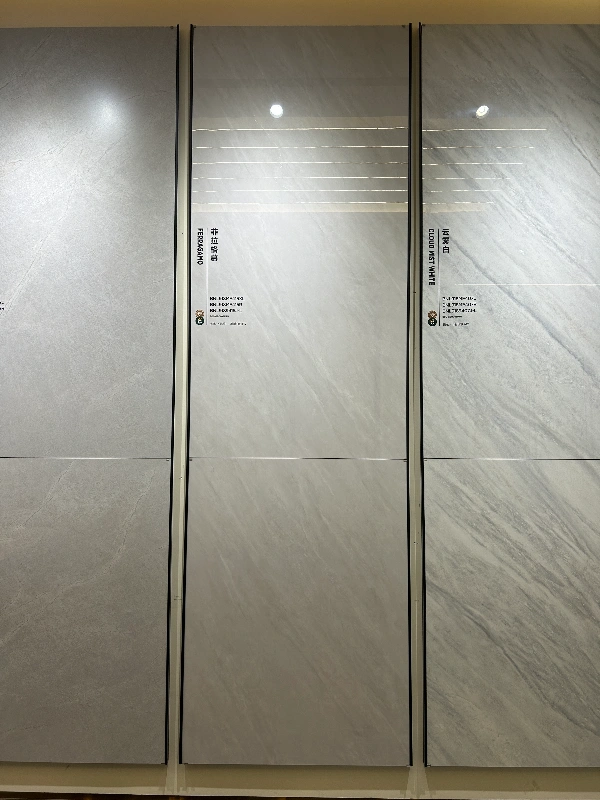 9189415JL SALVATORE FERRAGAMO-1