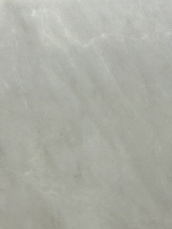 9189415JL SALVATORE FERRAGAMO-2