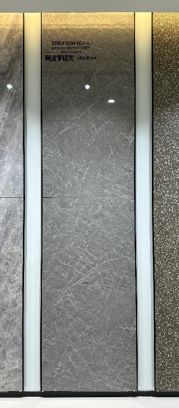 9189416JL 阿波罗银灰色-2