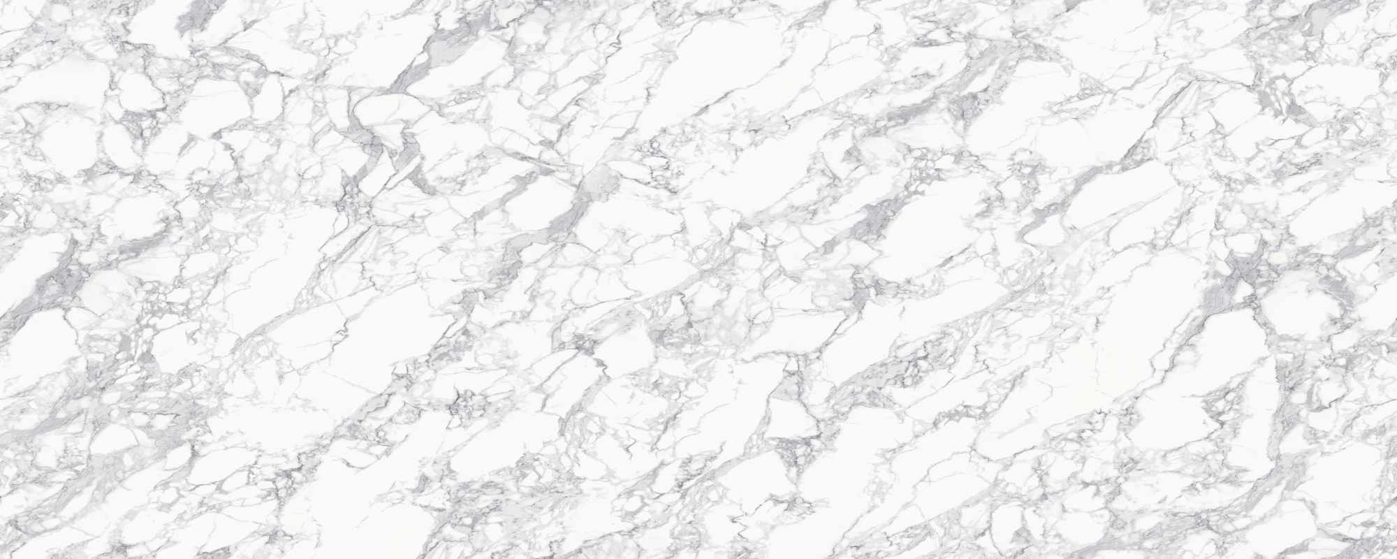9189471FJ THERETICULATED PATTERNISLARGE AND WHITE-1