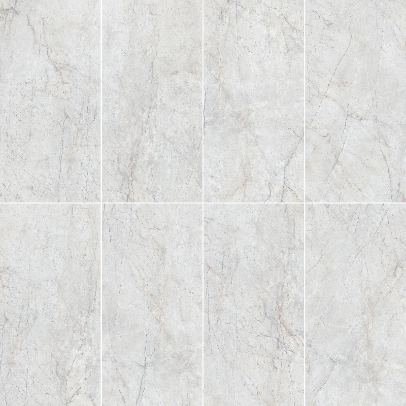 9189638FJ CAYOL ASH-4