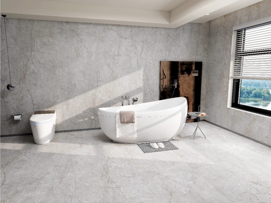 9189638FJ CAYOL ASH-1