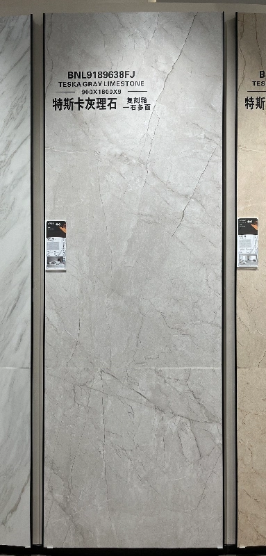 9189638FJ CAYOL ASH-3