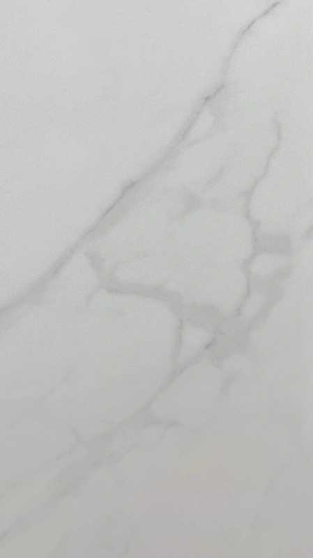 9189842F-林肯白（2）