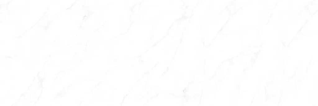 BNL9189842F LINCOLN WHITE