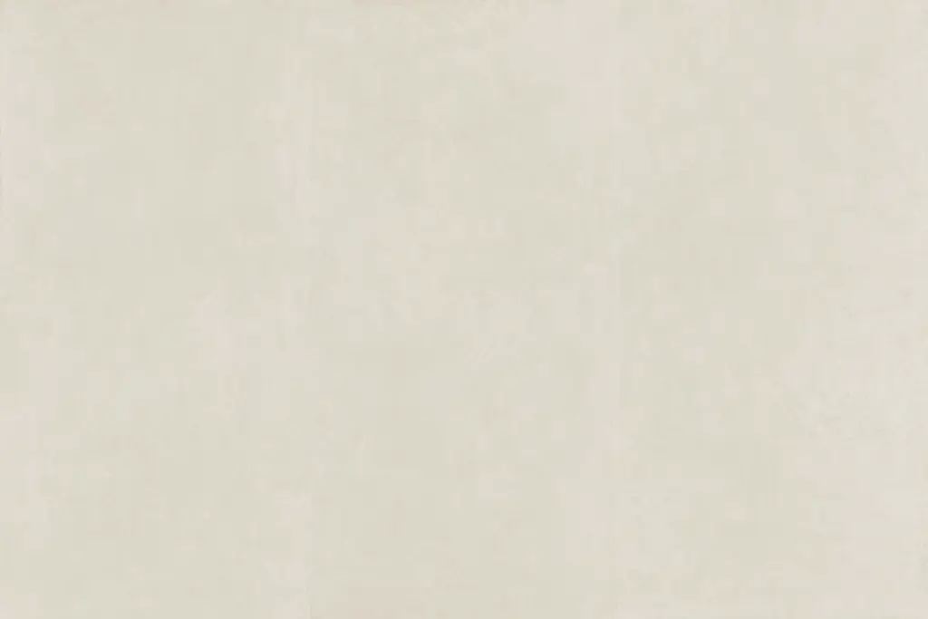 bnl9189fo5 rhymeginkgo