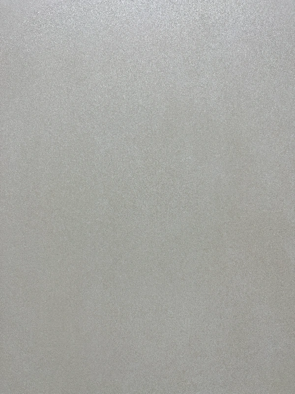 9189Y05韵-银杏 (4)