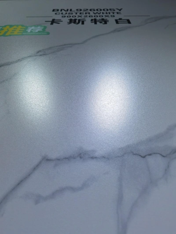 926005Y 卡斯特白