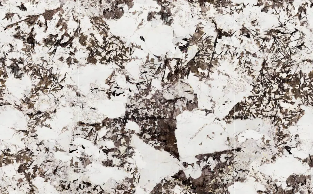 926411L SNOW MOUNTAIN SILVER FOX