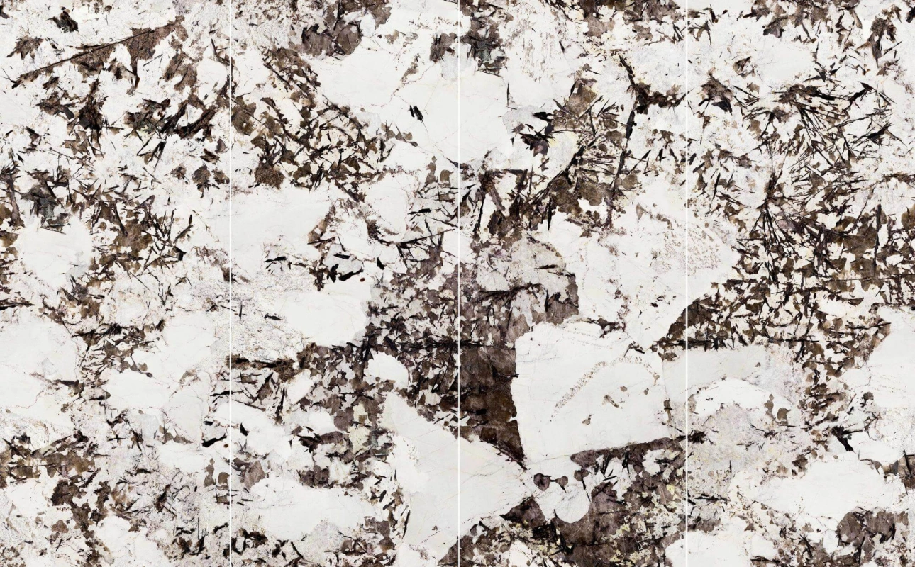 926411L SNOW MOUNTAIN SILVER FOX