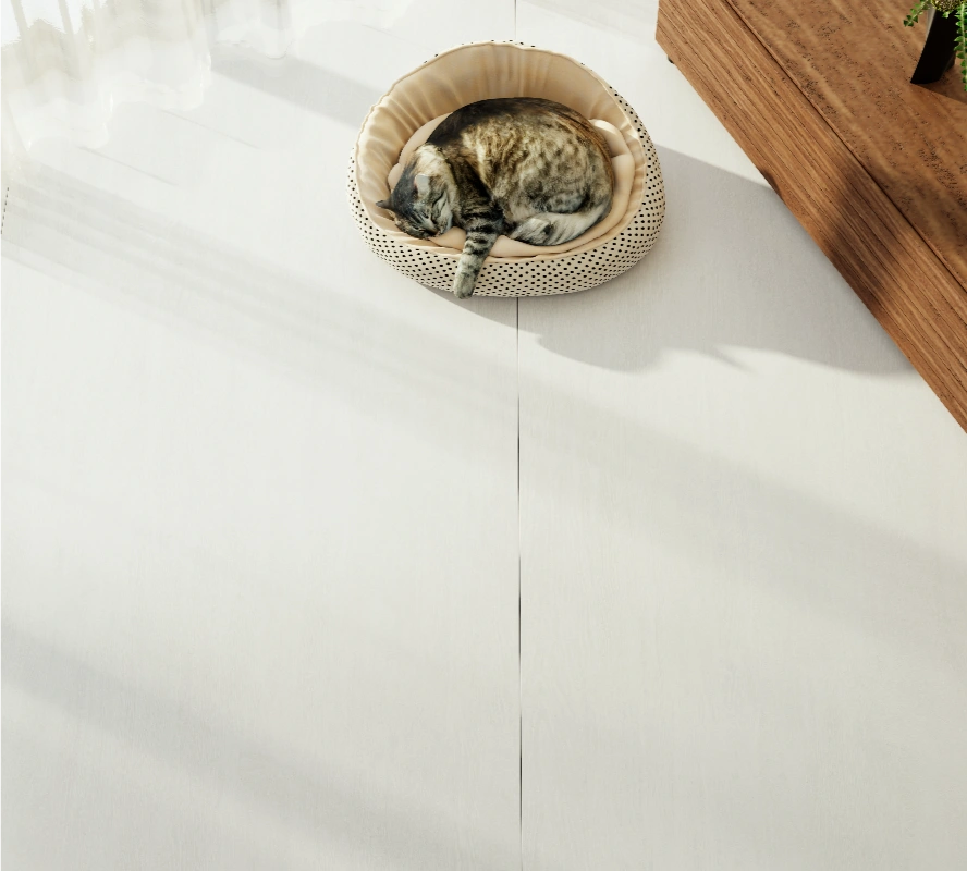 92709CJ40 WALNUT ASH