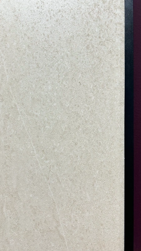 92709CJ65 安第斯米砂岩