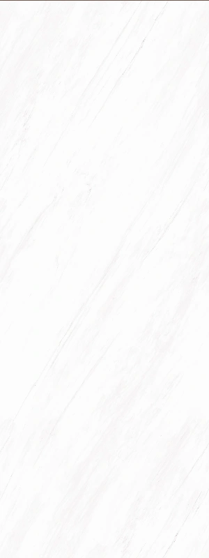 BIGCC12329LS037Y 特别优雅白