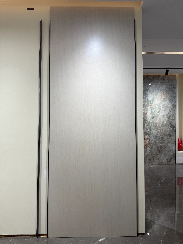 bigcc12329ls410y 法国木化石