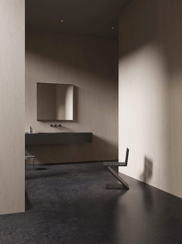 bigcc12329ls410y 法国木化石