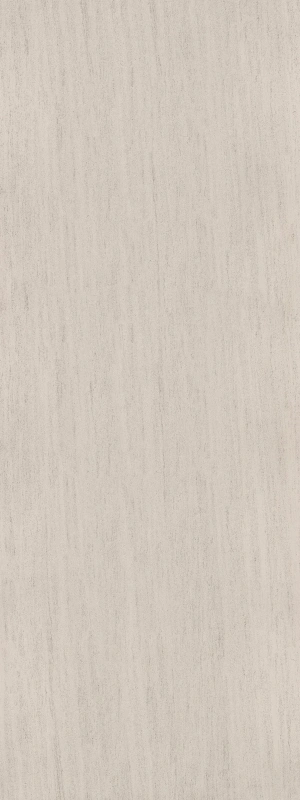 bigcc12329ls410y 法国木化石