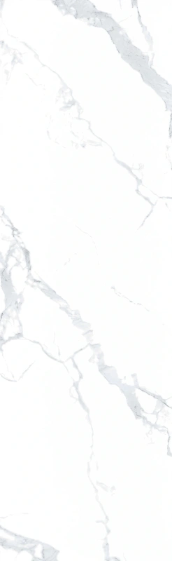 BIGCC8261198Y SNOWY WHITE