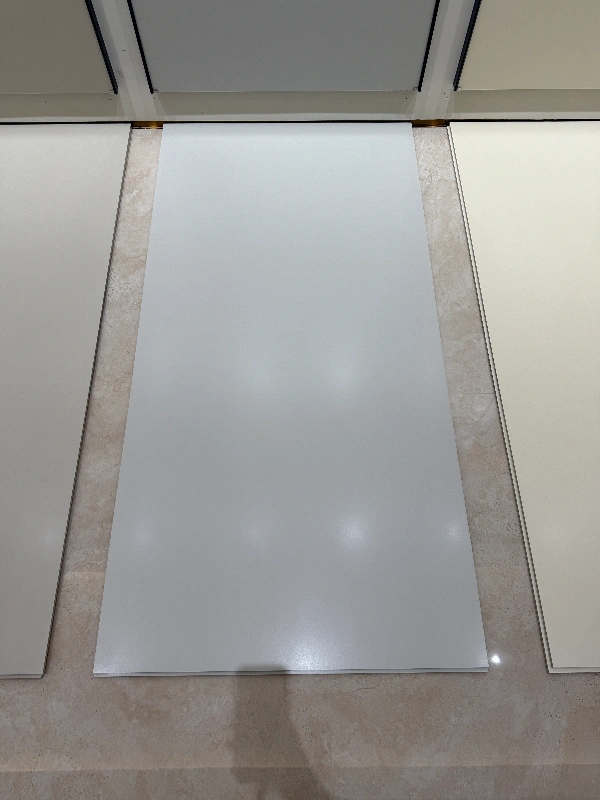 BIGCC9189SU004F 高级灰 (2)