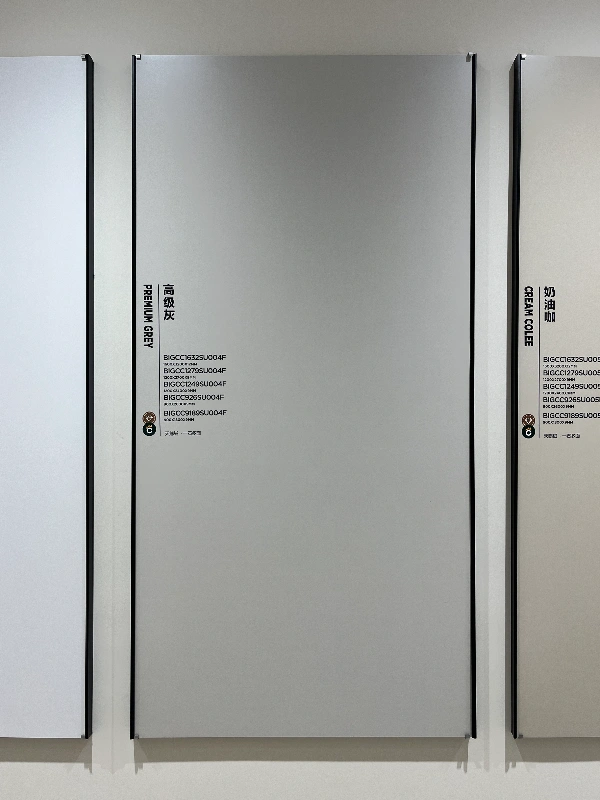 BIGCC9189SU004F 高级灰-A类 (1)