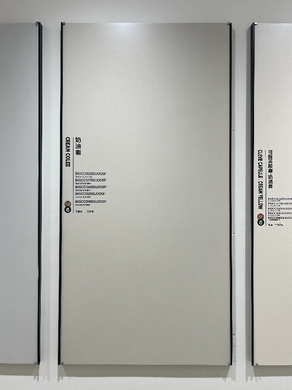 BIGCC9189SU005F 奶油咖-A类 (1)