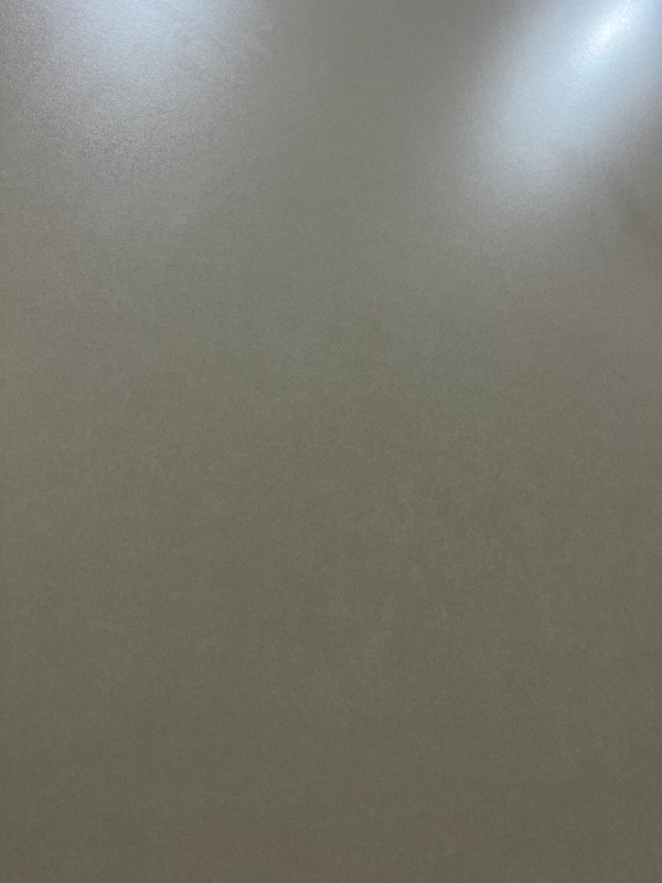 BIGCC9189SU005F 奶油咖-A类 (3)