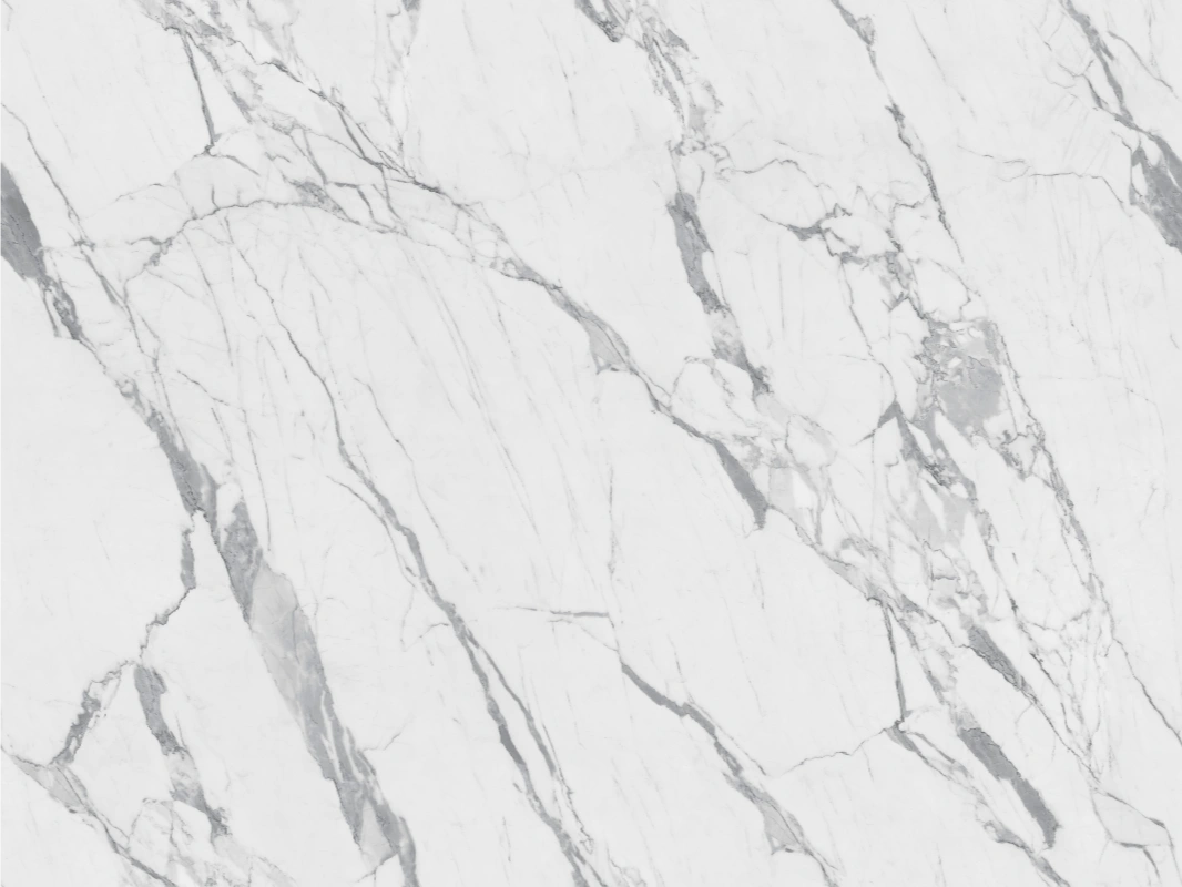 BNL1227183FY POLKA WHITE