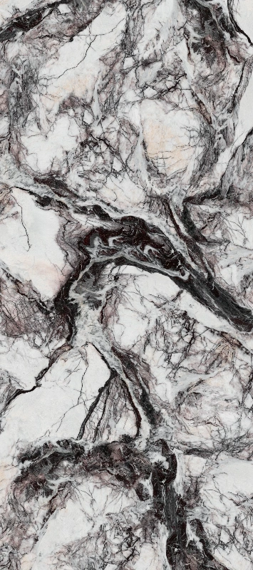 BNL1227304L 潜龙腾渊