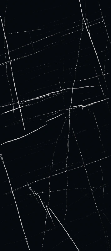 BNL1227352Y BLACK ROLAND