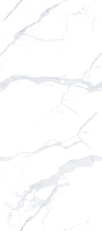 BNL1227356L PREMIUM FISH BELLY WHITE