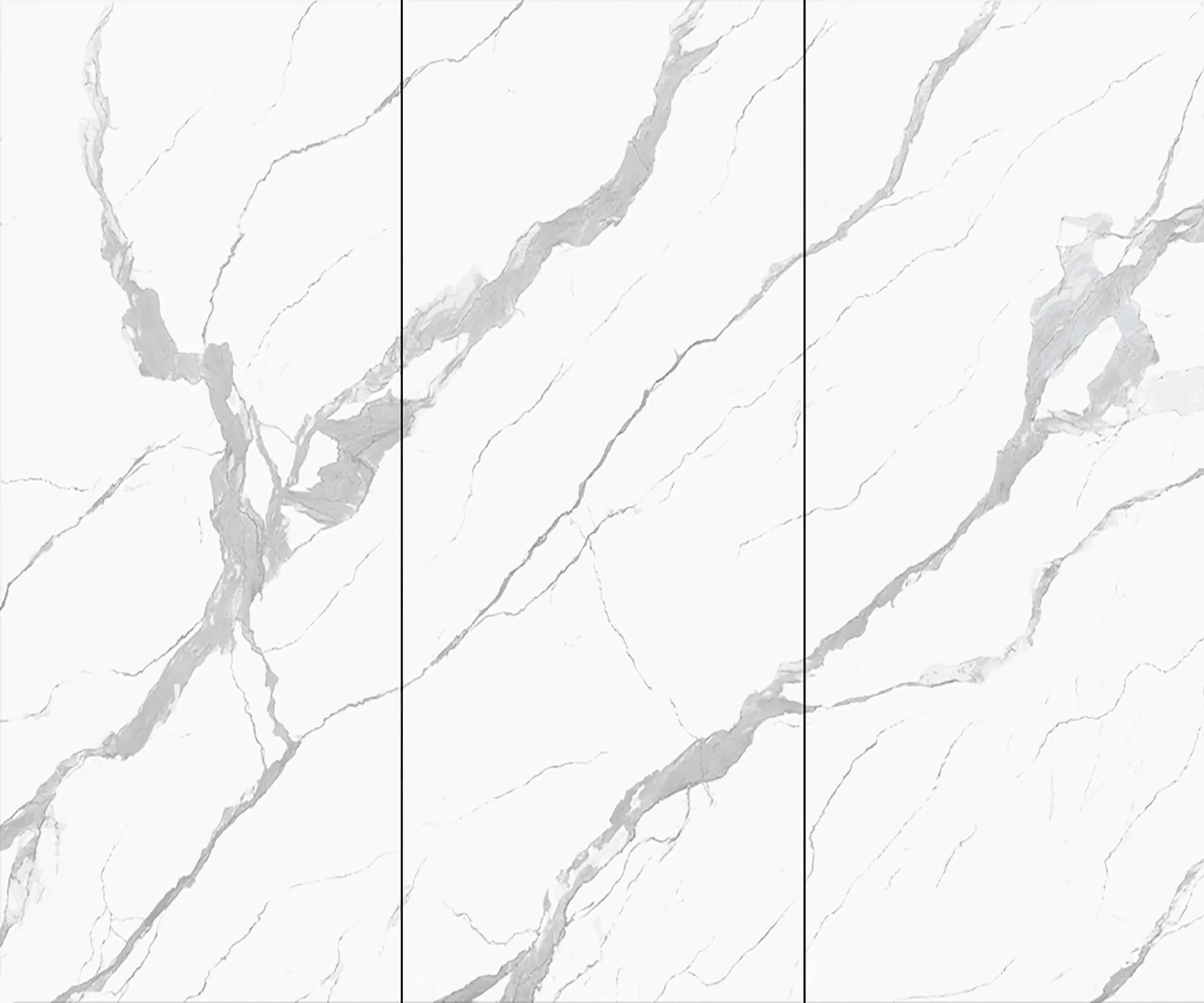 bigcc1230y06 金星白