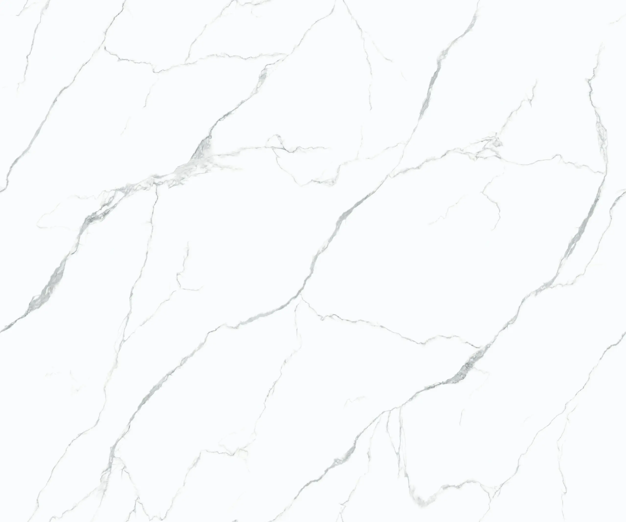 BIGCC1239006Y 花纹白色