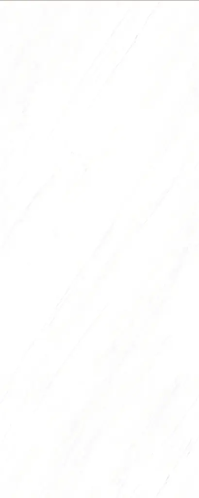 bigcc1239037y premium ariston