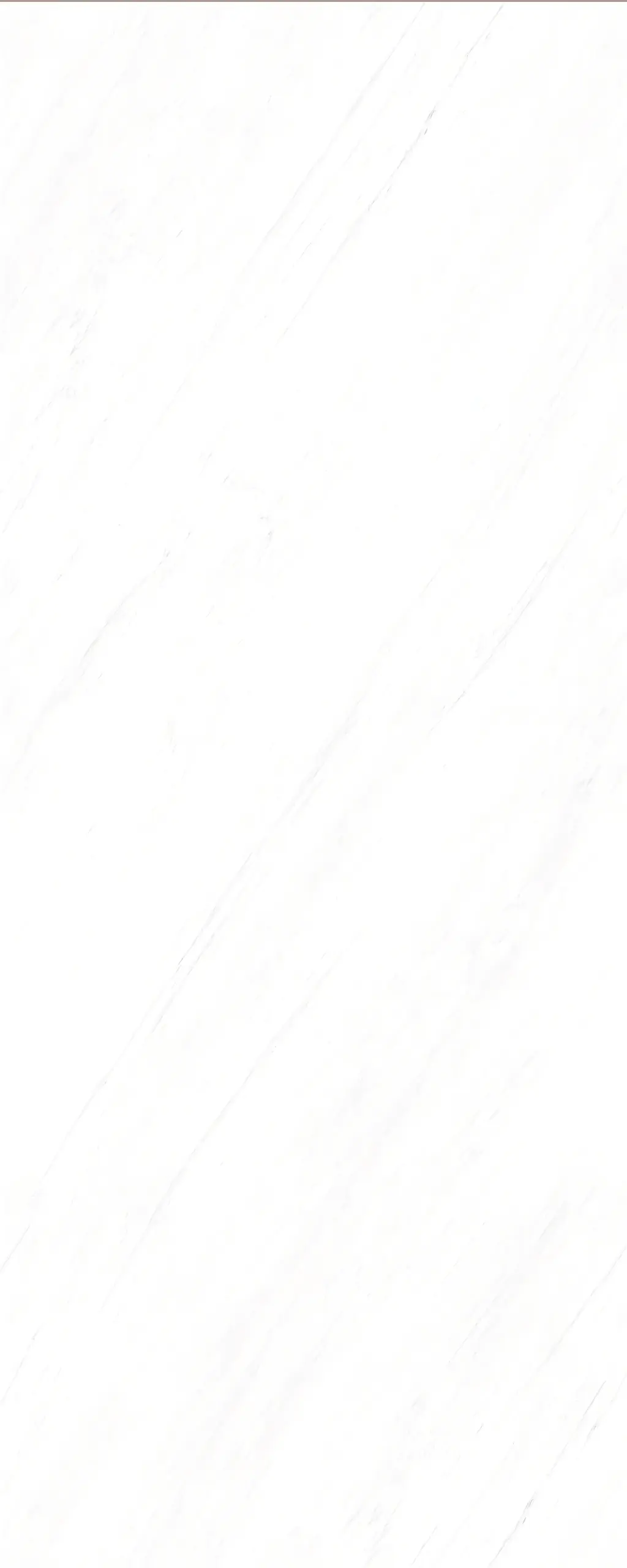 bigcc1239037y premium ariston