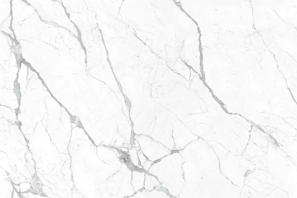 BNL1249345L ITALIAN FISH BELLY WHITE