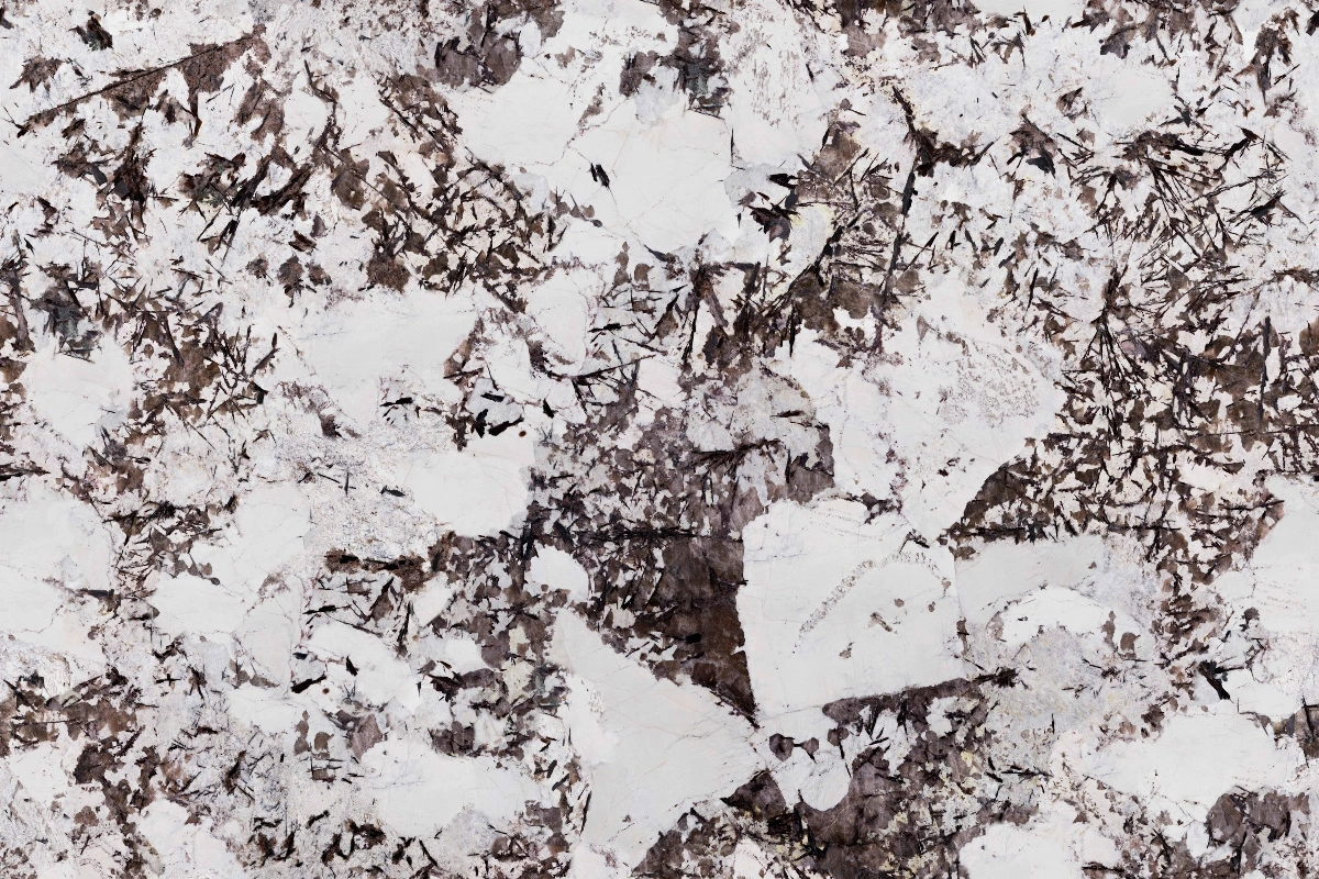 BNL1249411L SNOW MOUNTAIN SILVER FOX