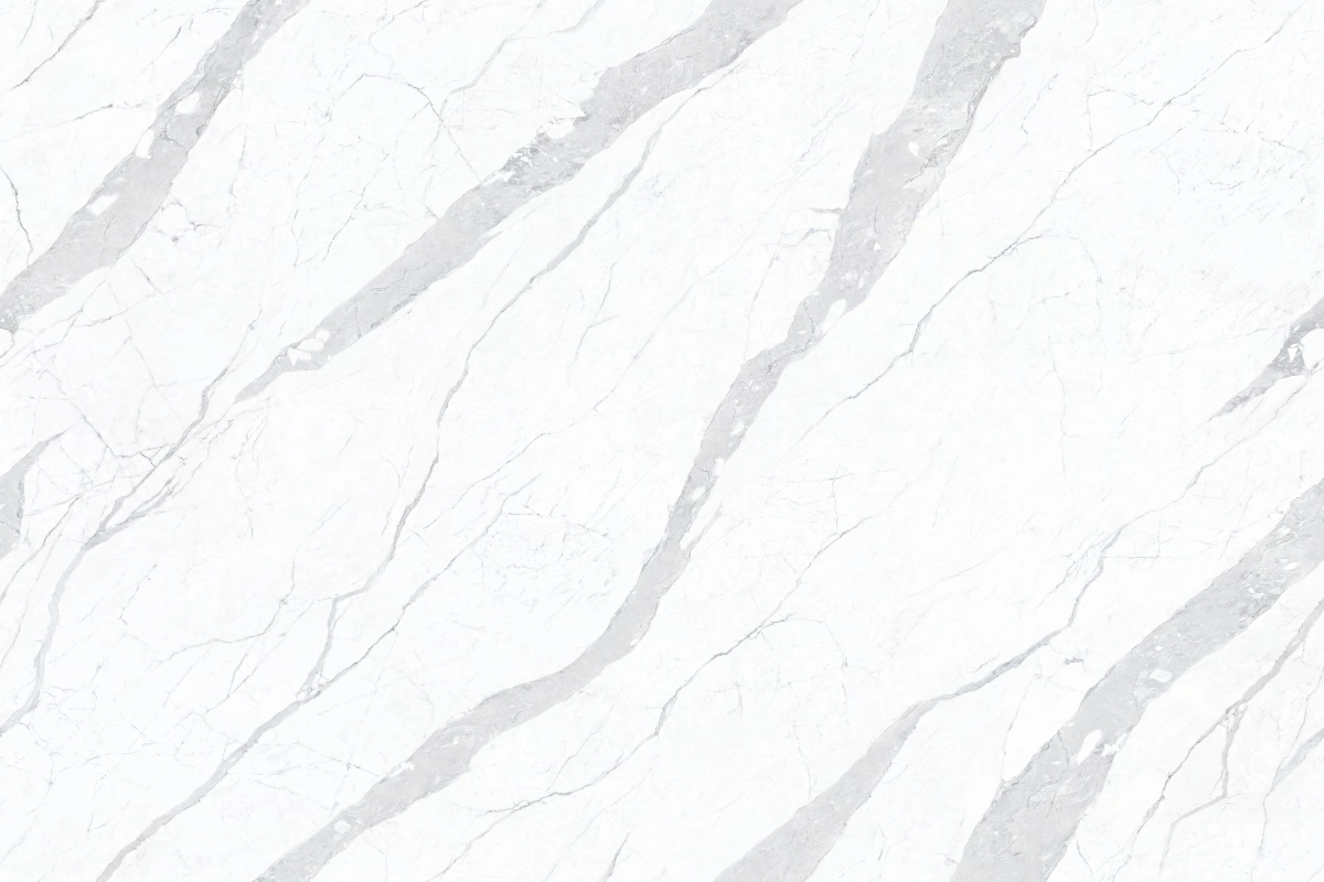 BNL1249491L TOPCARA WHITE