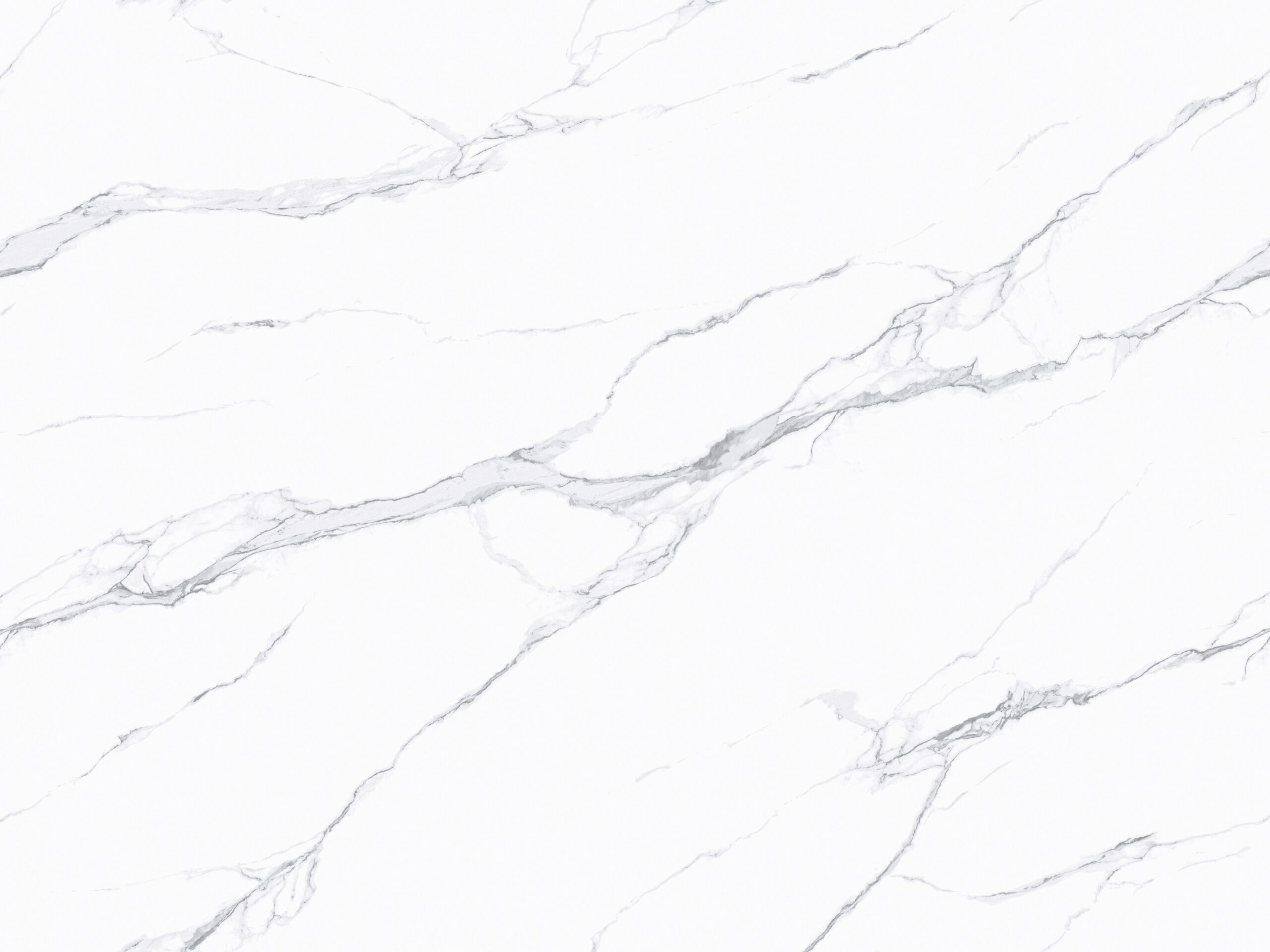 BNL1279005Y 曙光（卡斯特白）