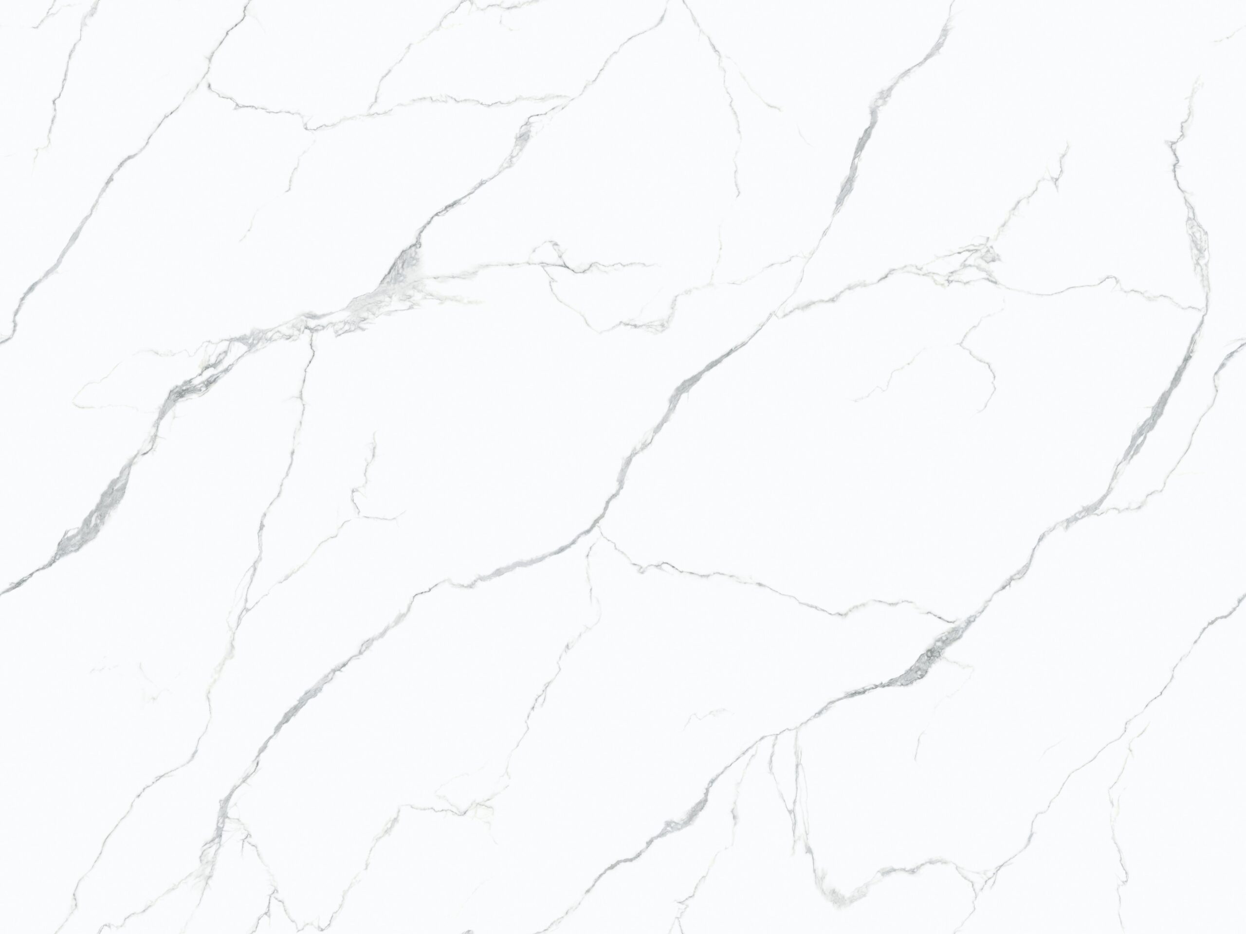 BNL1279006Y CALACATTA BLANCO