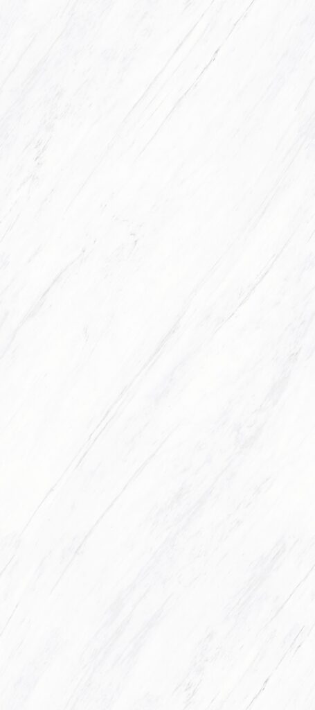 BNL1279037Y ASCOT BLANCO