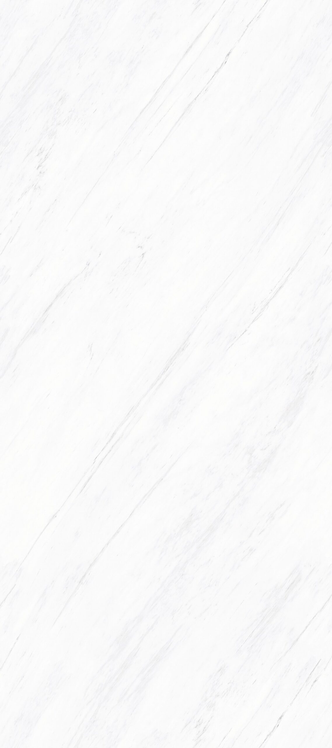 BNL1279037Y ASCOT BLANCO