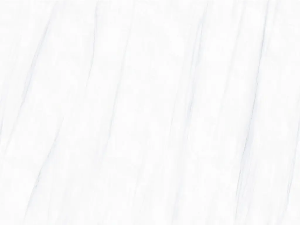 BNL1279109MY ARCTIC GLACIER WHITE