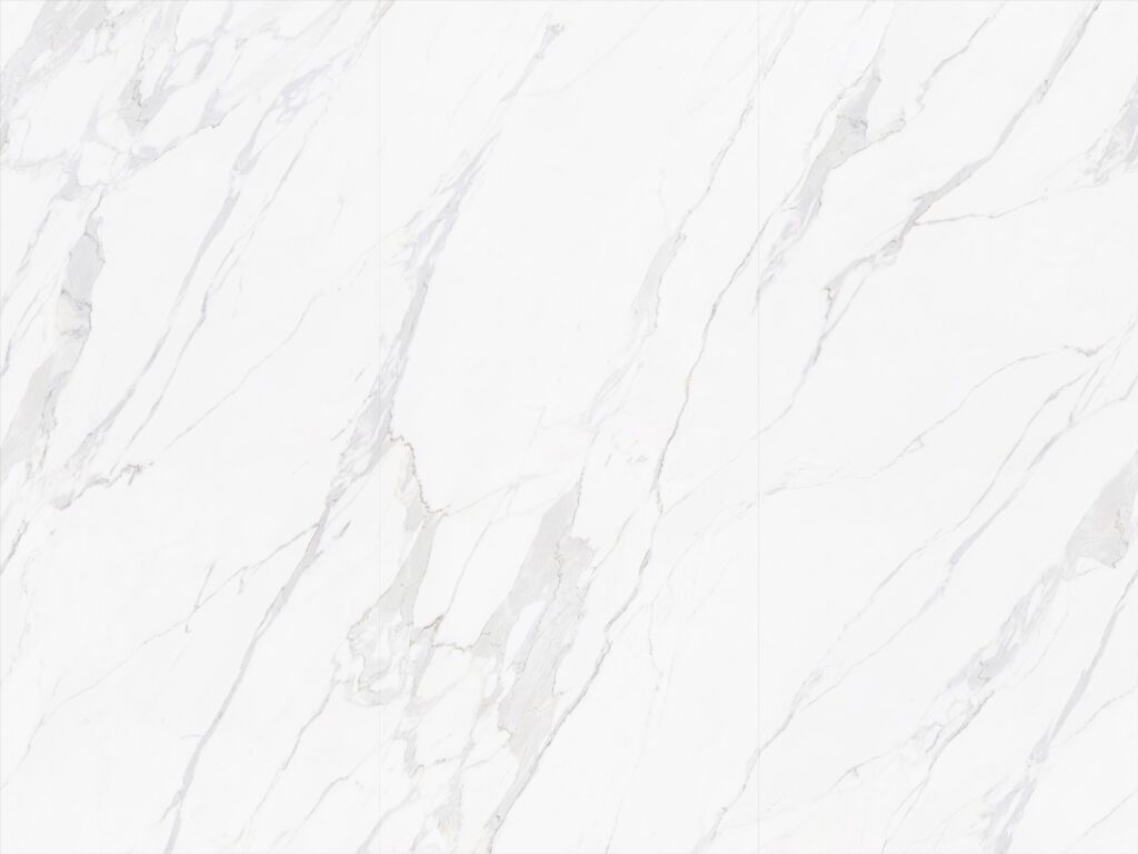 BNL1279472Y BLANCO VENTRE DE PECEO